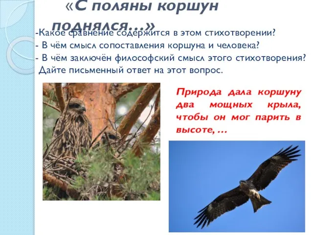 «С поляны коршун поднялся…» Какое сравнение содержится в этом стихотворении? В