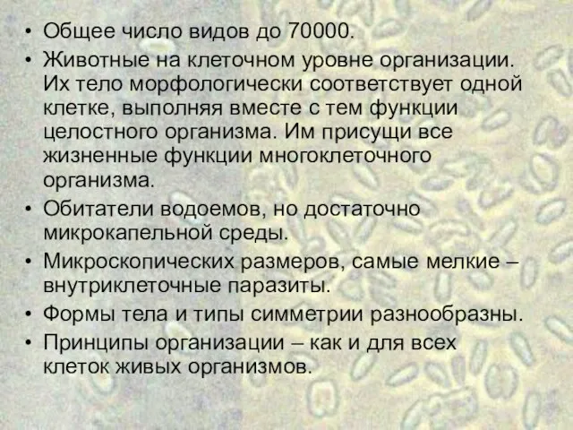 Общее число видов до 70000. Животные на клеточном уровне организации. Их