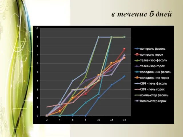 в течение 5 дней