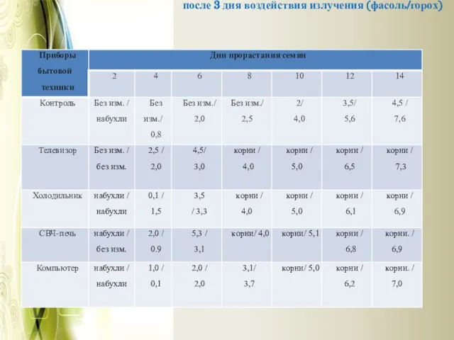 после 3 дня воздействия излучения (фасоль/горох)