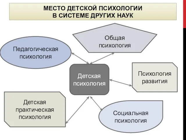 МЕСТО ДЕТСКОЙ ПСИХОЛОГИИ В СИСТЕМЕ ДРУГИХ НАУК Детская психология Общая психология