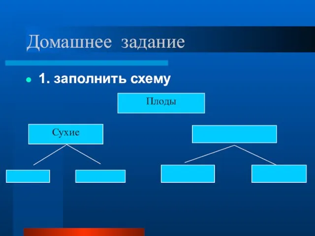 Домашнее задание 1. заполнить схему Плоды Сухие