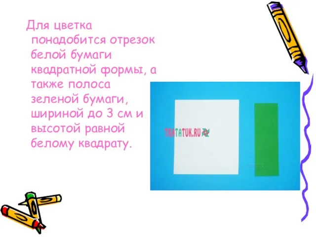 Для цветка понадобится отрезок белой бумаги квадратной формы, а также полоса