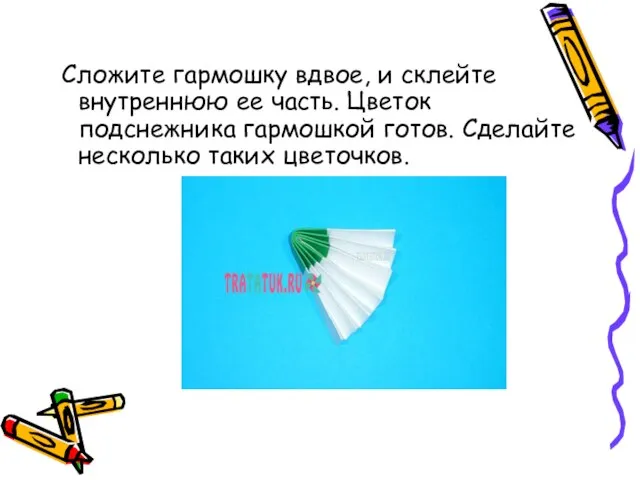 Сложите гармошку вдвое, и склейте внутреннюю ее часть. Цветок подснежника гармошкой готов. Сделайте несколько таких цветочков.