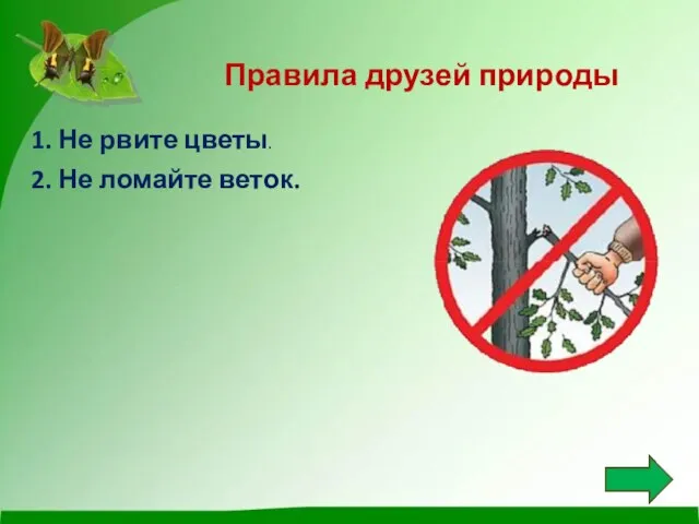 Правила друзей природы 1. Не рвите цветы. 2. Не ломайте веток.