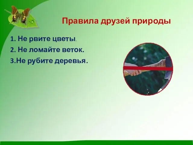 Правила друзей природы 1. Не рвите цветы. 2. Не ломайте веток. 3.Не рубите деревья.