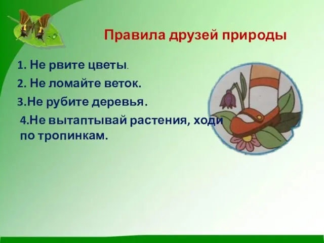 Правила друзей природы 1. Не рвите цветы. 2. Не ломайте веток.