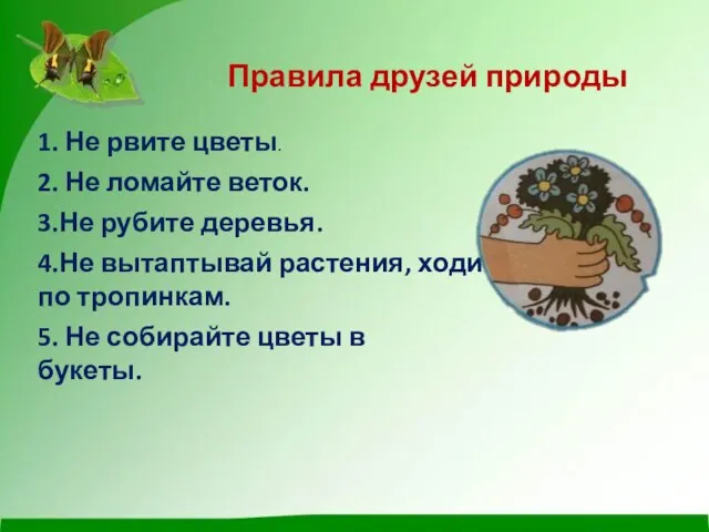 Правила друзей природы 1. Не рвите цветы. 2. Не ломайте веток.