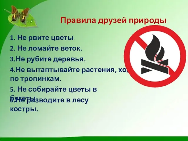 Правила друзей природы 1. Не рвите цветы. 2. Не ломайте веток.