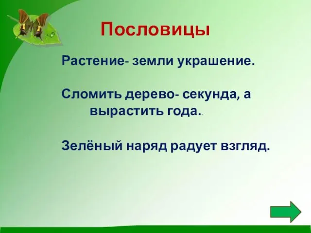 Пословицы Растение- земли украшение. Сломить дерево- секунда, а вырастить года.. Зелёный наряд радует взгляд.