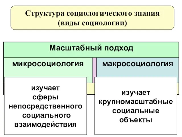 Структура социологического знания (виды социологии) изучает сферы непосредственного социального взаимодействия изучает крупномасштабные социальные объекты