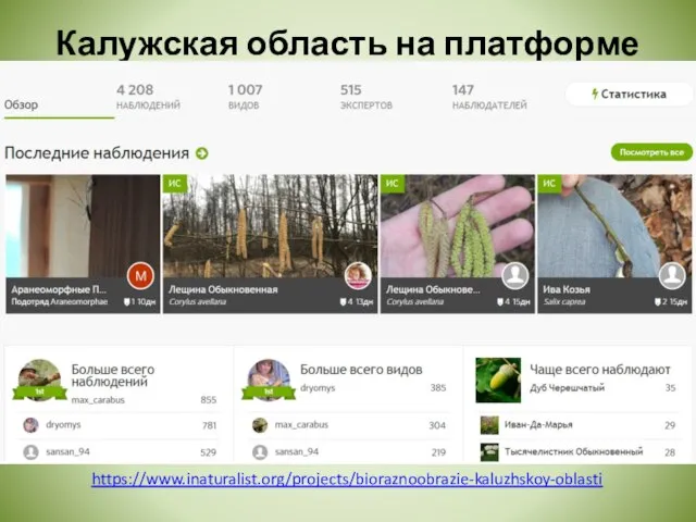 Калужская область на платформе https://www.inaturalist.org/projects/bioraznoobrazie-kaluzhskoy-oblasti