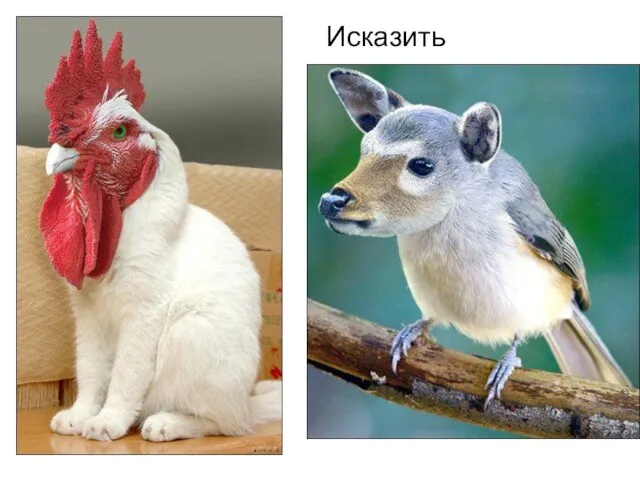 Исказить