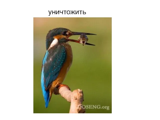 уничтожить