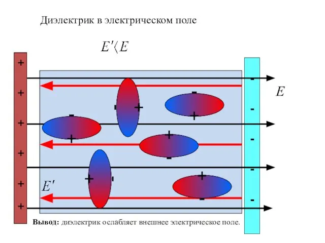 - - - - - Диэлектрик в электрическом поле + -