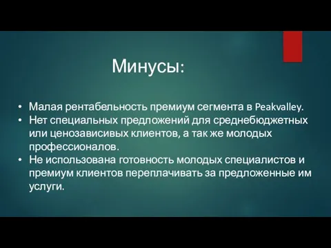 Минусы: Малая рентабельность премиум сегмента в Peakvalley. Нет специальных предложений для