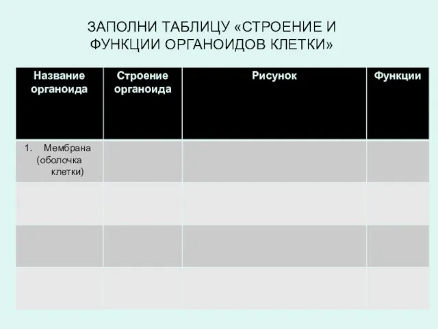 ЗАПОЛНИ ТАБЛИЦУ «СТРОЕНИЕ И ФУНКЦИИ ОРГАНОИДОВ КЛЕТКИ»