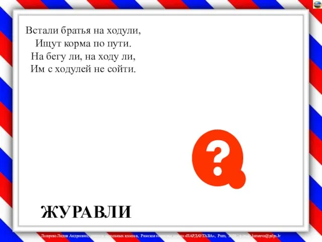 Встали братья на ходули, Ищут корма по пути. На бегу ли,