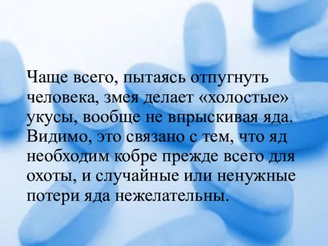 Чаще всего, пытаясь отпугнуть человека, змея делает «холостые» укусы, вообще не