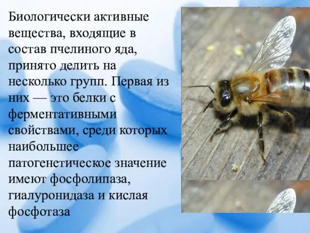 Биологически активные вещества, входящие в состав пчелиного яда, принято делить на