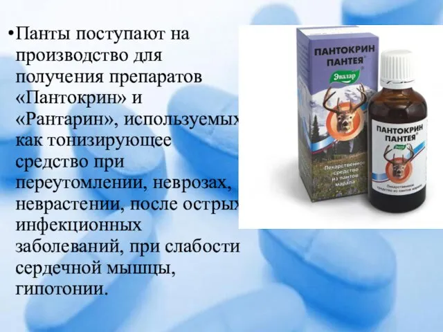 Панты поступают на производство для получения препаратов «Пантокрин» и «Рантарин», используемых