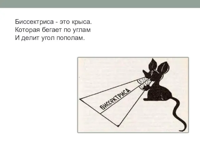 Биссектриса - это крыса. Которая бегает по углам И делит угол пополам.