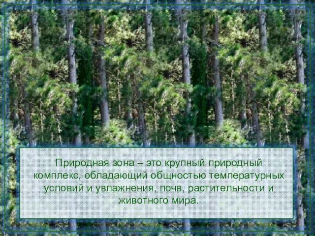 Природная зона – это крупный природный комплекс, обладающий общностью температурных условий