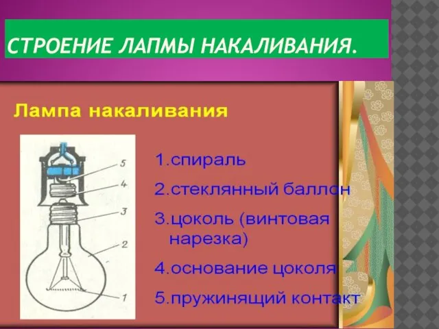 СТРОЕНИЕ ЛАПМЫ НАКАЛИВАНИЯ.