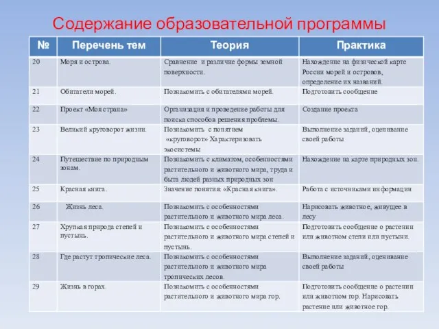 Содержание образовательной программы