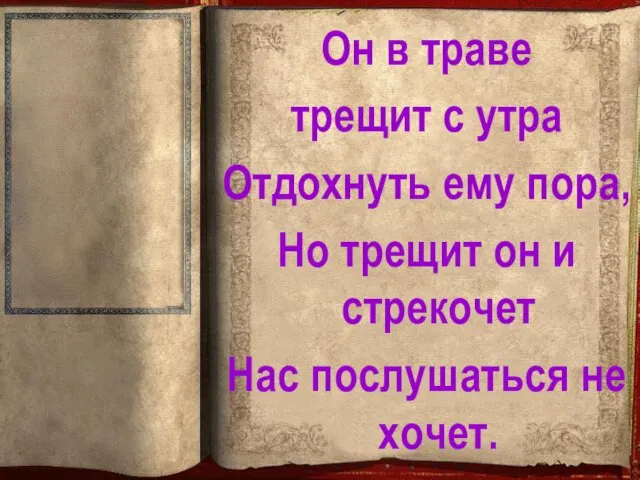 Он в траве трещит с утра Отдохнуть ему пора, Но трещит