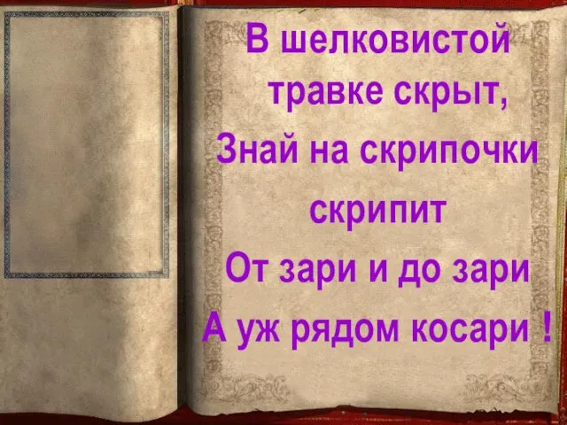 В шелковистой травке скрыт, Знай на скрипочки скрипит От зари и