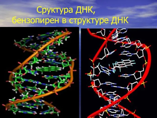 Сруктура ДНК, бензопирен в структуре ДНК