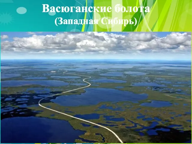 Васюганские болота (Западная Сибирь)