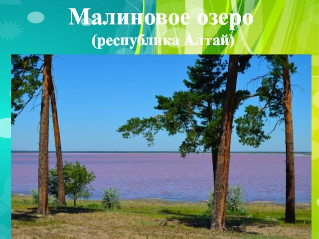 Малиновое озеро (республика Алтай)