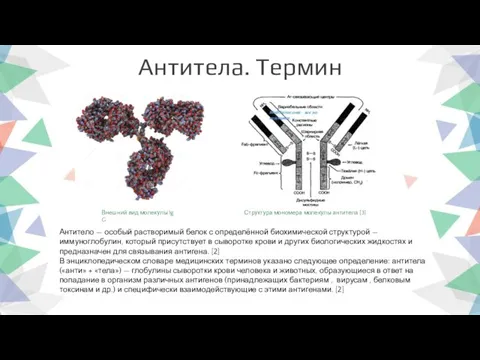 Антитела. Термин Антитело — особый растворимый белок с определённой биохимиче­ской структурой