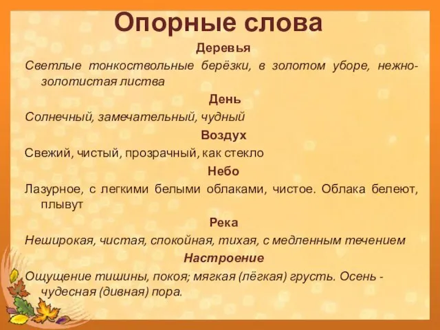 Деревья Светлые тонкоствольные берёзки, в золотом уборе, нежно- золотистая листва День