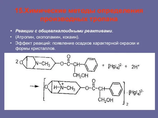 15.Химические методы определения производных тропана Реакции с общеалкалоидными реактивами. (Атропин, скополамин,