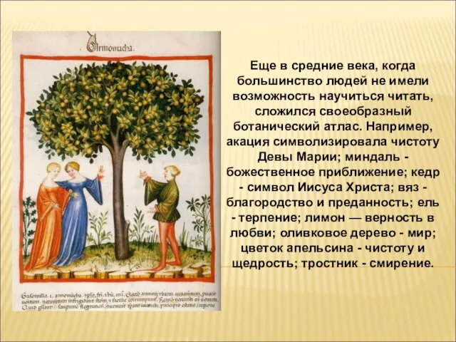 Еще в средние века, когда большинство людей не имели возможность научиться