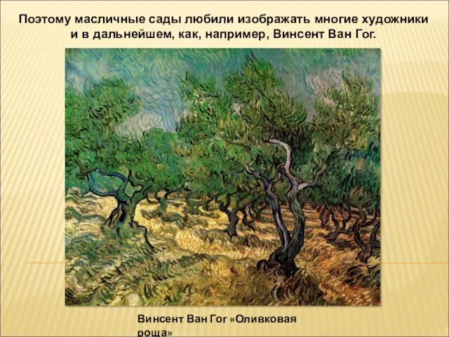 Винсент Ван Гог «Оливковая роща» Поэтому масличные сады любили изображать многие