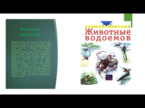 Животные водоемов Дорогие друзья! Эта книга рассказывает об обитателях пресных водоемов: