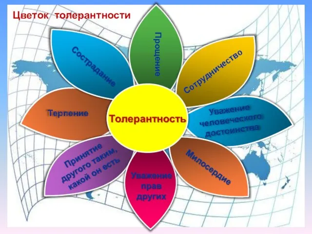 Сотрудничество Прощение Цветок толерантности