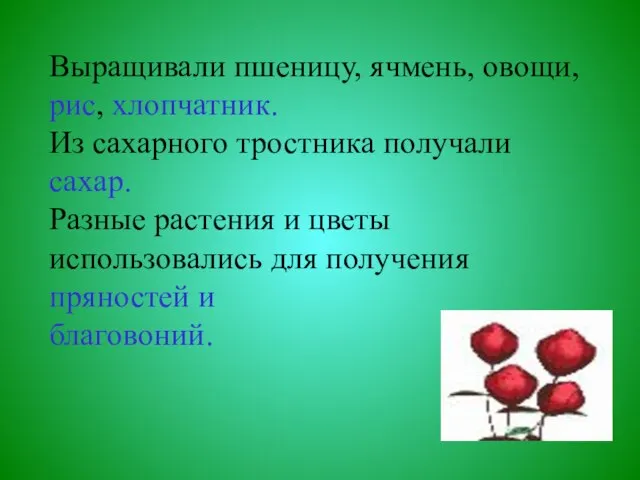 Выращивали пшеницу, ячмень, овощи, рис, хлопчатник. Из сахарного тростника получали сахар.