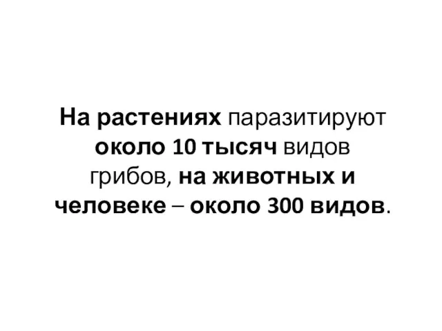 На растениях паразитируют около 10 тысяч видов грибов, на животных и человеке – около 300 видов.