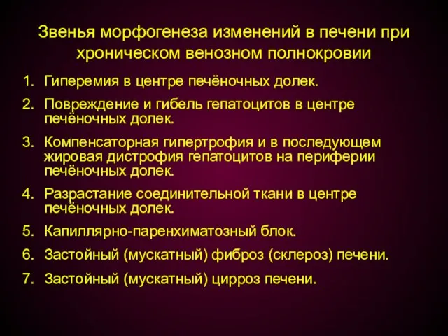 Звенья морфогенеза изменений в печени при хроническом венозном полнокровии Гиперемия в