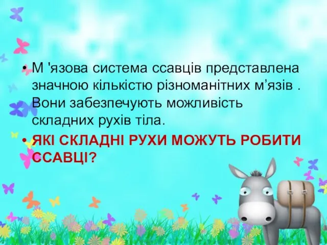 М 'язова система ссавців представлена значною кількістю різноманітних м’язів . Вони