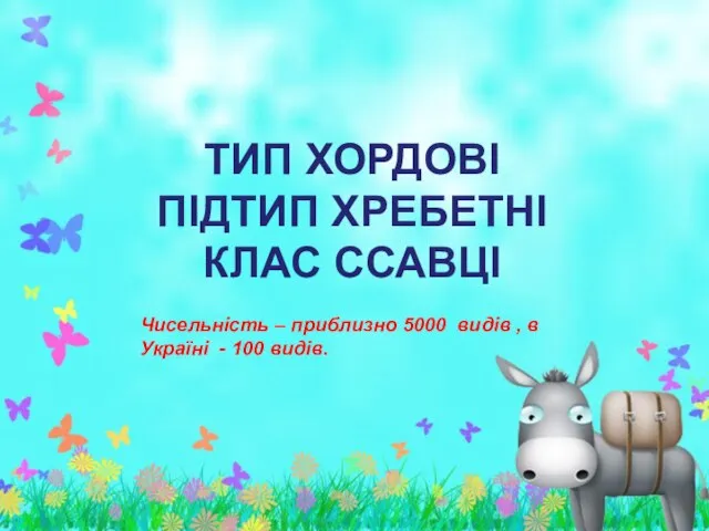 ТИП ХОРДОВІ ПІДТИП ХРЕБЕТНІ КЛАС ССАВЦІ Чисельність – приблизно 5000 видів