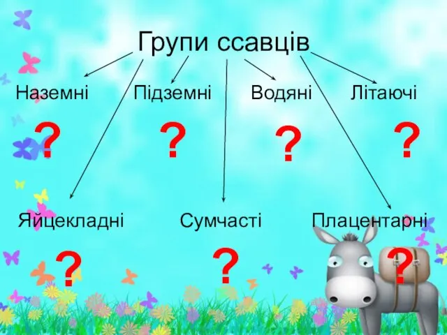 Групи ссавців Наземні Підземні Водяні Літаючі Яйцекладні Сумчасті Плацентарні ? ? ? ? ? ? ?