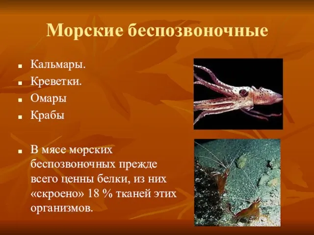 Морские беспозвоночные Кальмары. Креветки. Омары Крабы В мясе морских беспозвоночных прежде