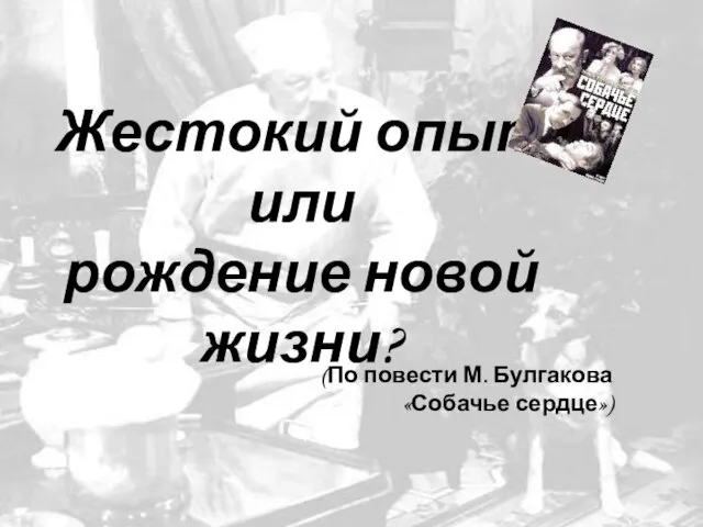 Жестокий опыт или рождение новой жизни? (По повести М. Булгакова «Собачье сердце»)