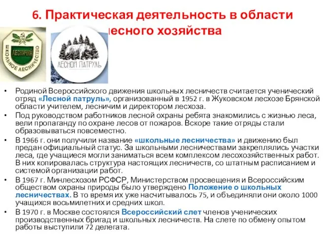 6. Практическая деятельность в области лесного хозяйства Родиной Всероссийского движения школьных